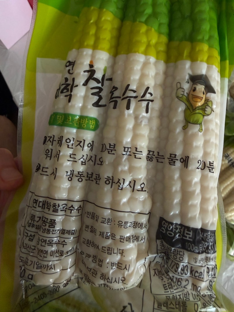 여름 제철 간식 충북 괴산 대학찰옥수수 소개