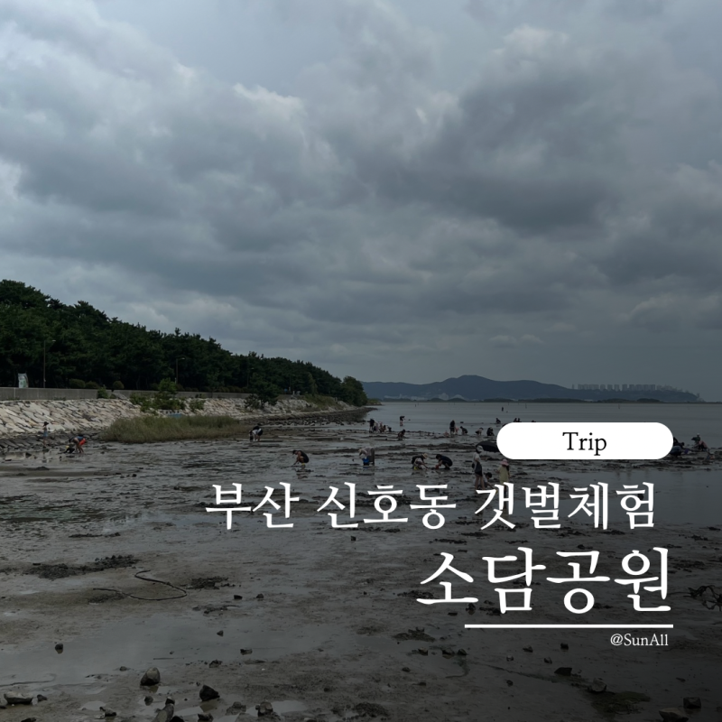 부산 신호동 소담공원 갯벌체험 후기｜아이와 맛조개잡이하기 좋은 곳