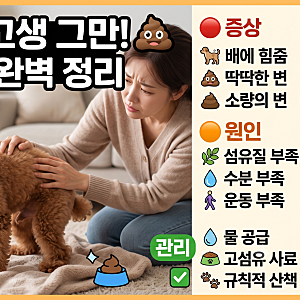 강아지 변비 증상과 원인, 집에서 관리하는 방법은?