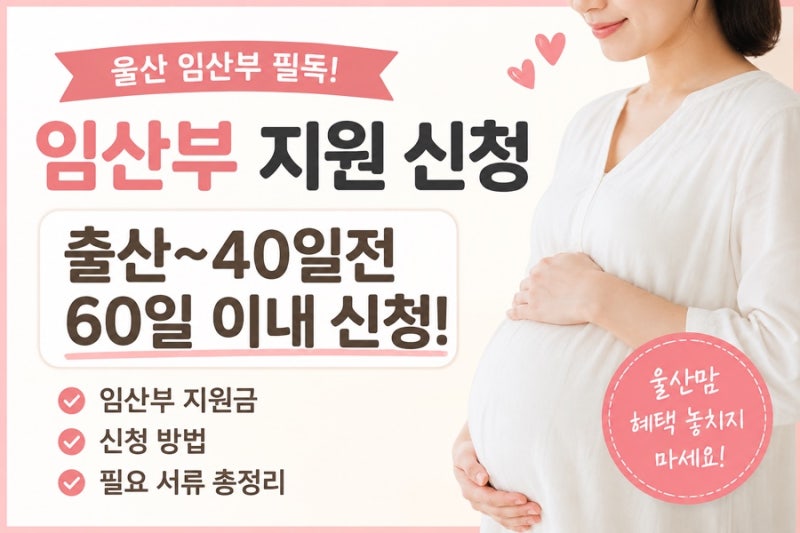 울산 임산부, 임산부 산후도우미 정부 지원 신청, 산후 도우미 지원 방법,출산 예정일 40일전 ....