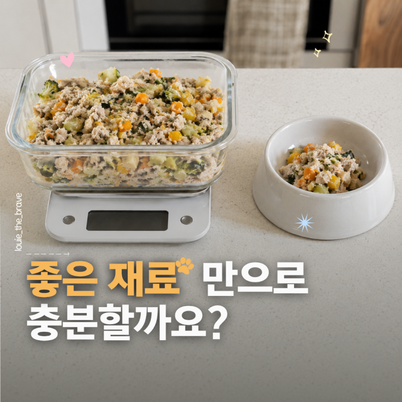강아지 화식 만들기 기초, 식재료부터 하루 급여량과 한 끼