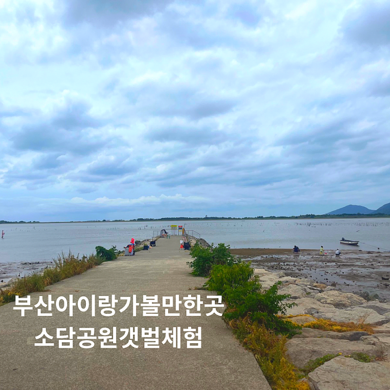 부산 갯벌체험 추천 명지 소담공원 아이와 조개잡기 준비물부터 꿀팁까지