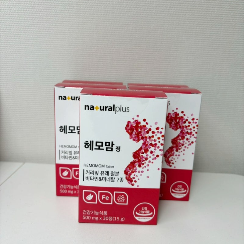 정부24 임산부 등록하고 택배 선물 받기 임산부 혜택 신청방법 화성봉담보건소 임산부 등록 ....