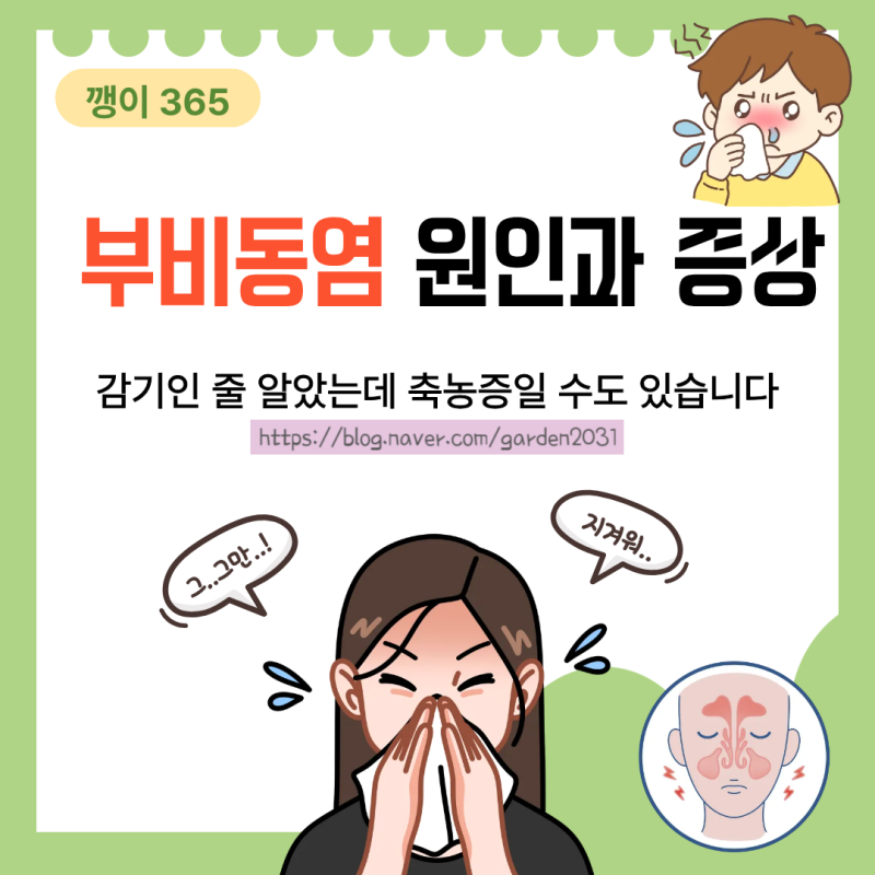 부비동염 원인과 증상｜감기인 줄 알았는데 축농증일 수도 있습니다