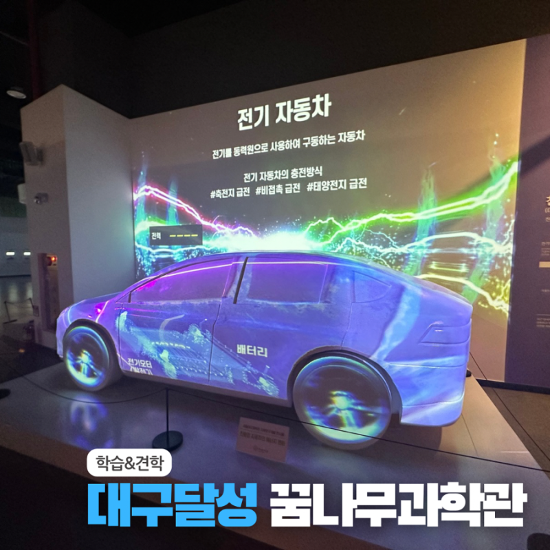 아이랑 여름방학. 국립대구과학관 (꿈나무과학관)다녀왔어요!
