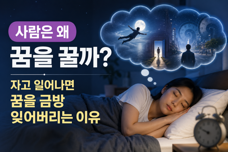 사람은 왜 꿈을 꿀까? 자고 일어나면 꿈을 금방 잊어버리는 이유