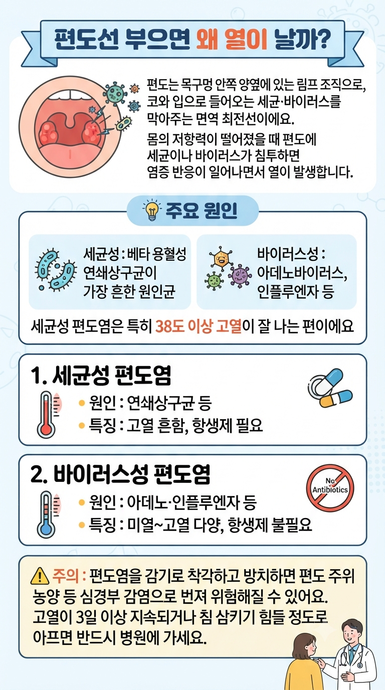 편도선 부었을 때 열나는 이유, 편도염 빨리 낫는 법 총정리