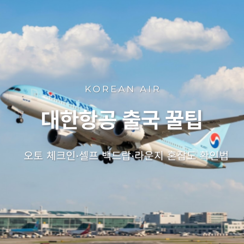 대한항공 인천공항 2터미널 출국 꿀팁 오토 체크인·셀프 백드랍·라운지 혼잡도 확인법