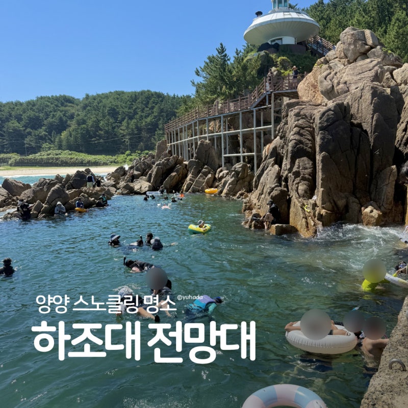 양양 하조대 전망대 스노클링 솔직후기 위치 주차 수심