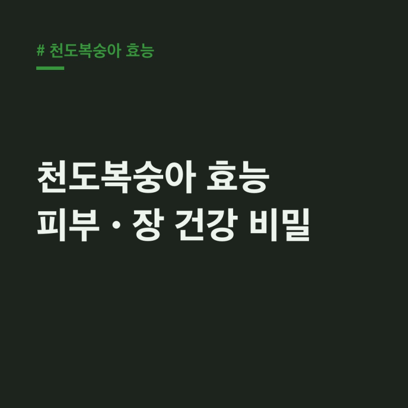 천도복숭아 효능, 당뇨•피부•장 건강 차이점