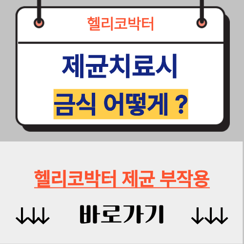 헬리코박터 제균치료시 금식이 필요한 음식과 제균 약 복용 타이밍 정리