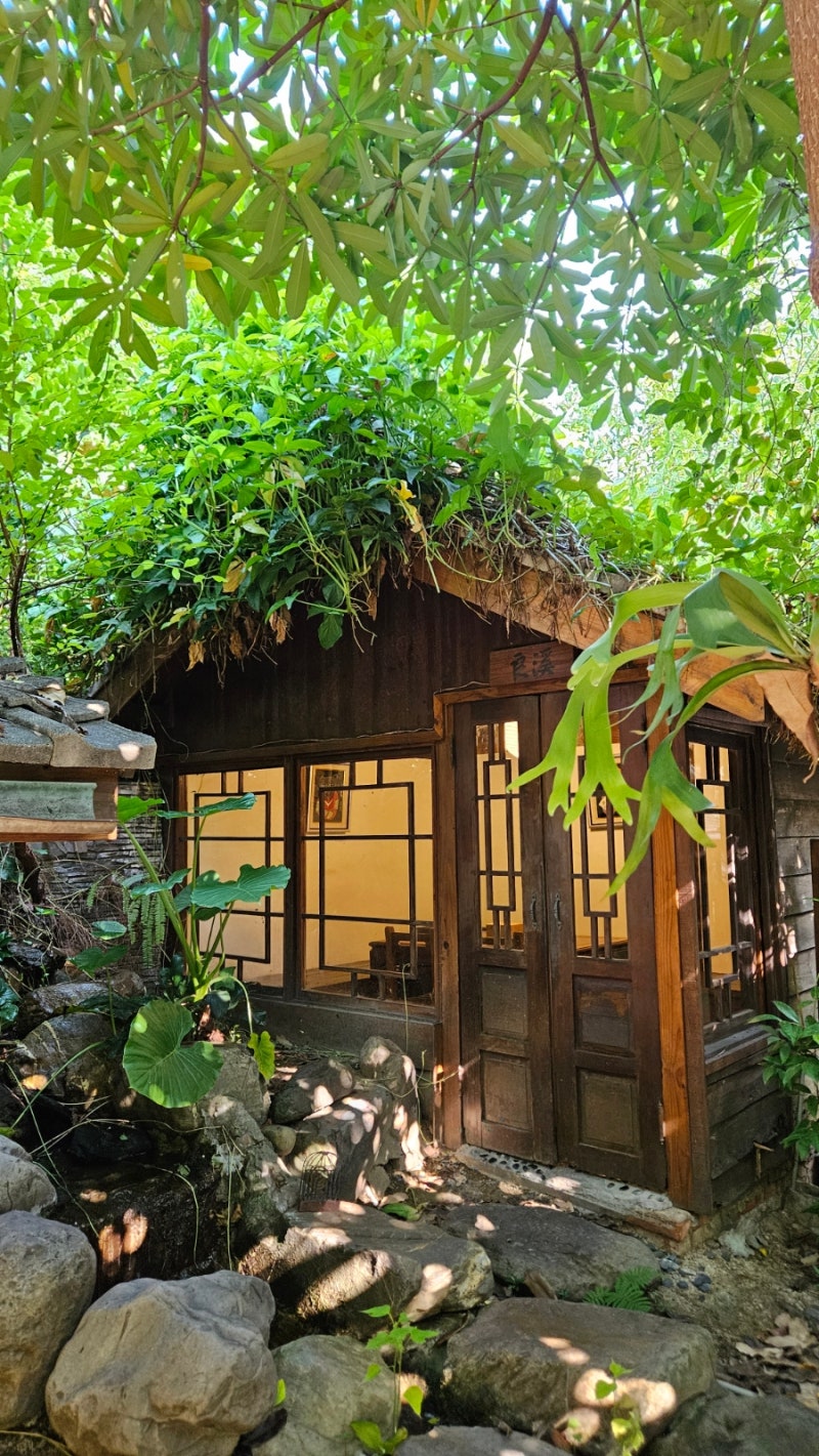 양배추를 갈변이나 상함 없이 오래 신선하게 보관하는 방법(by.제미나이)