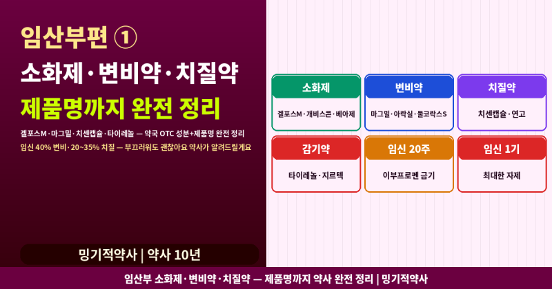 임산부 소화제·변비약·치질약 — 약국에서 살 수 있는 제품 성분별 안전 등급 약사 완전 정....