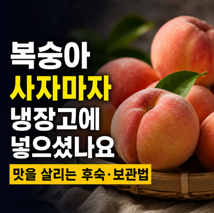 복숭아 사자마자 냉장고에 넣으셨나요? 맛을 살리는 후숙·보관법