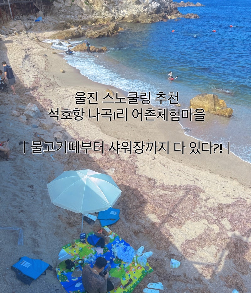 울진 스노쿨링 명소 추천 물고기떼가 바로 보이는 나곡1리 어촌체험마을 석호항