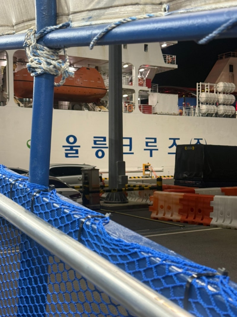 울릉도 포항 크루즈 혼성 6인실 후기 & 차량선적 꿀팁 & 샤워가능 유무
