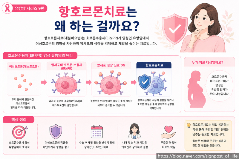 유방암 시리즈 9편유방암 항호르몬치료, 왜 5년·10년씩 먹을까? 타목시펜·아리미덱스·페마....