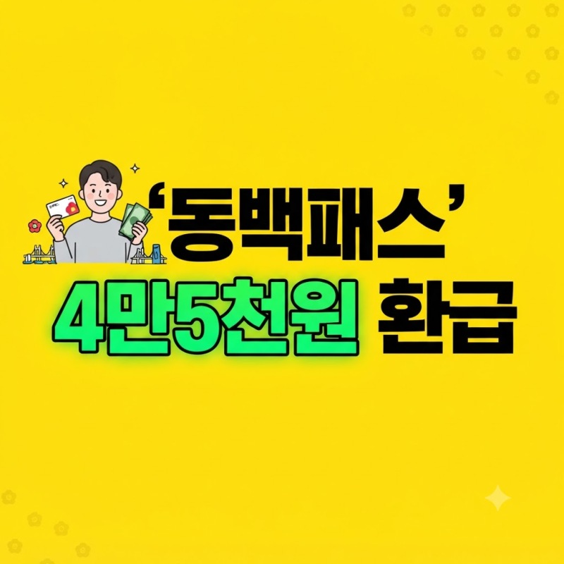 [2026 부산 대중교통] 기후동행카드엔 없다? 부산 동백패스 vs K-패스 환급액 비교 & 나에게 맞....