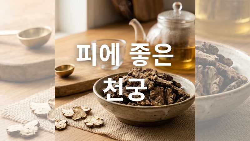 천궁 효능과 부작용 및 올바른 사용법 총정리