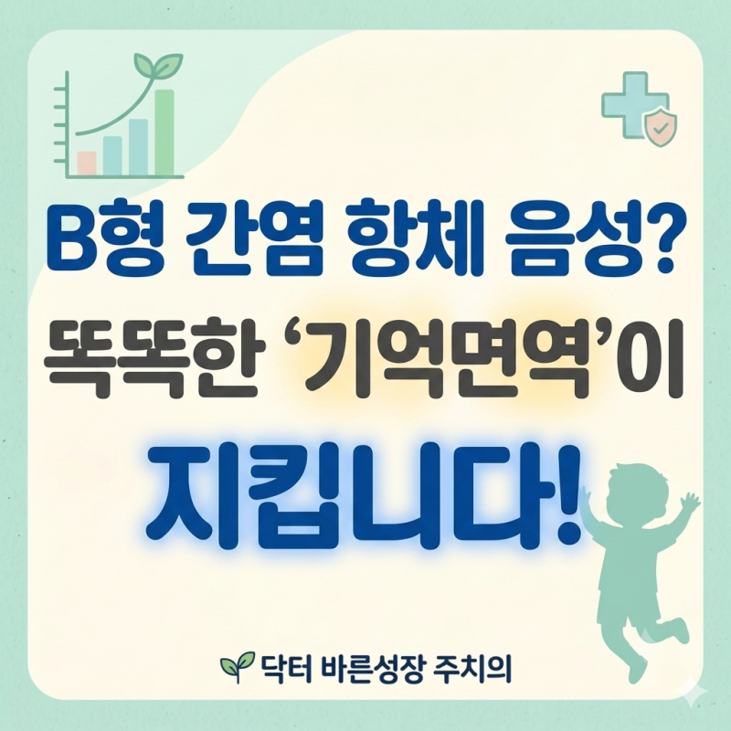 B형간염 항체 음성 원인과 재접종 필요할까?