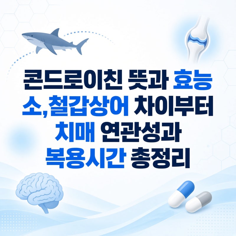 콘드로이친 뜻과 효능 소,철갑상어 차이부터 치매 연관성과 복용시간 총정리