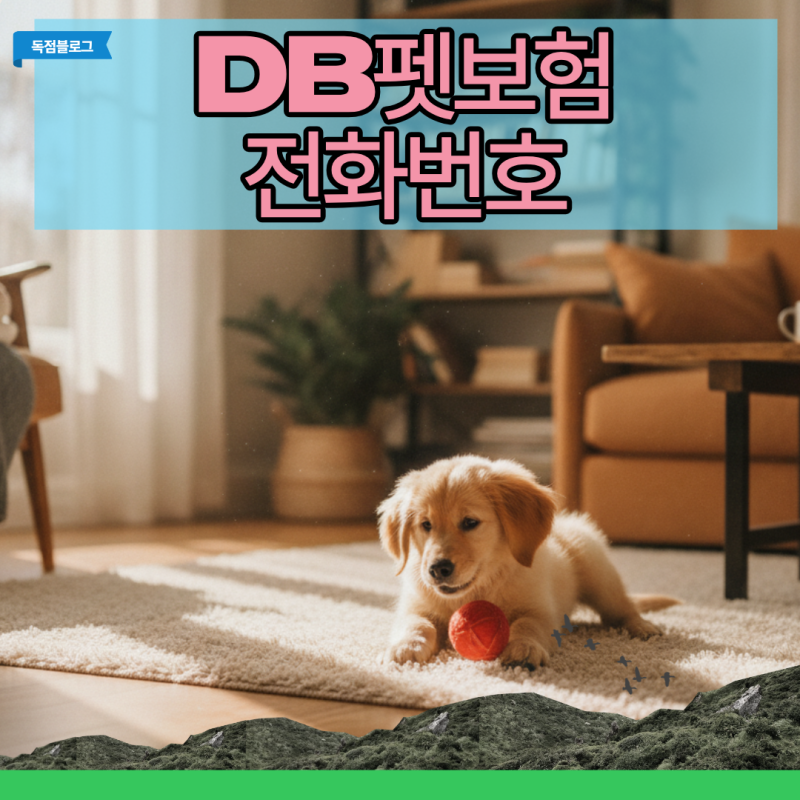 db펫보험 전화번호 연결 지연 시 모바일 대체 접수 및 실수 방지법