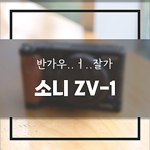 소니 ZV-1 리뷰, 가성비 RX100은 이런 느낌이구나? 단점을 한번 파헤쳐보자.
