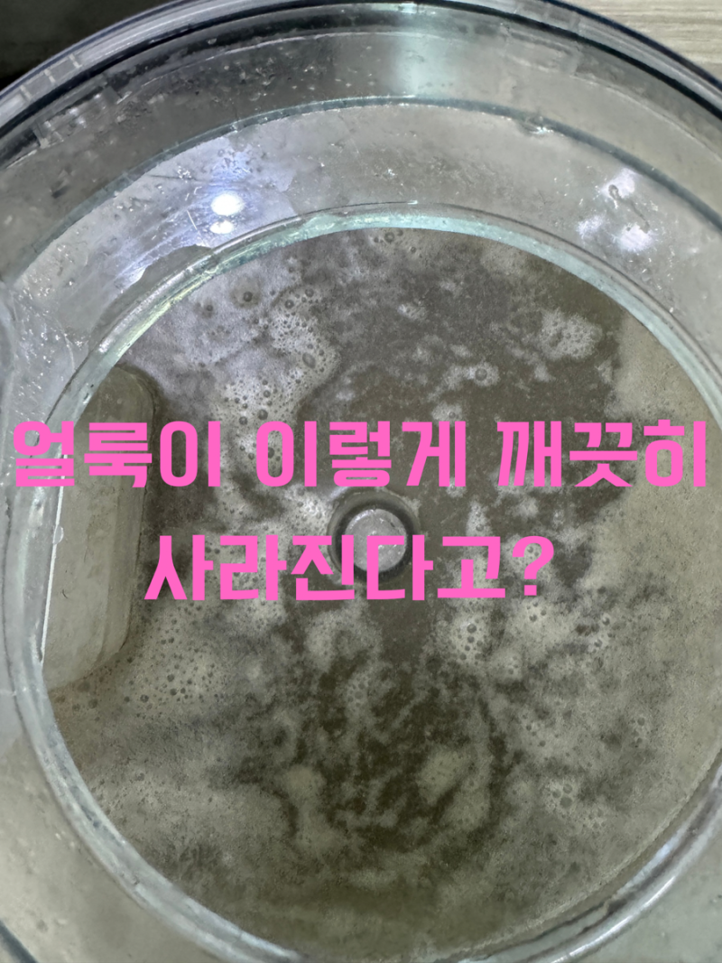 [천안아산소파청소]얼룩이 사라져서 고객님께서 만족하시네요! 깨끗히 청소해드립니다! 천....