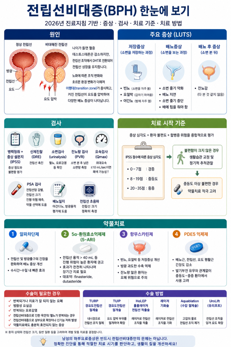 [전립선] 전립선비대증의 진단, 치료
