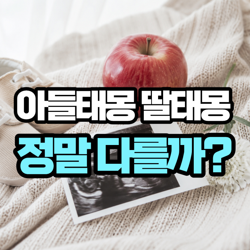 "태몽 꾸는 시기는 언제일까?" 아들 태몽 딸 태몽 종류와 아기 성별 확인