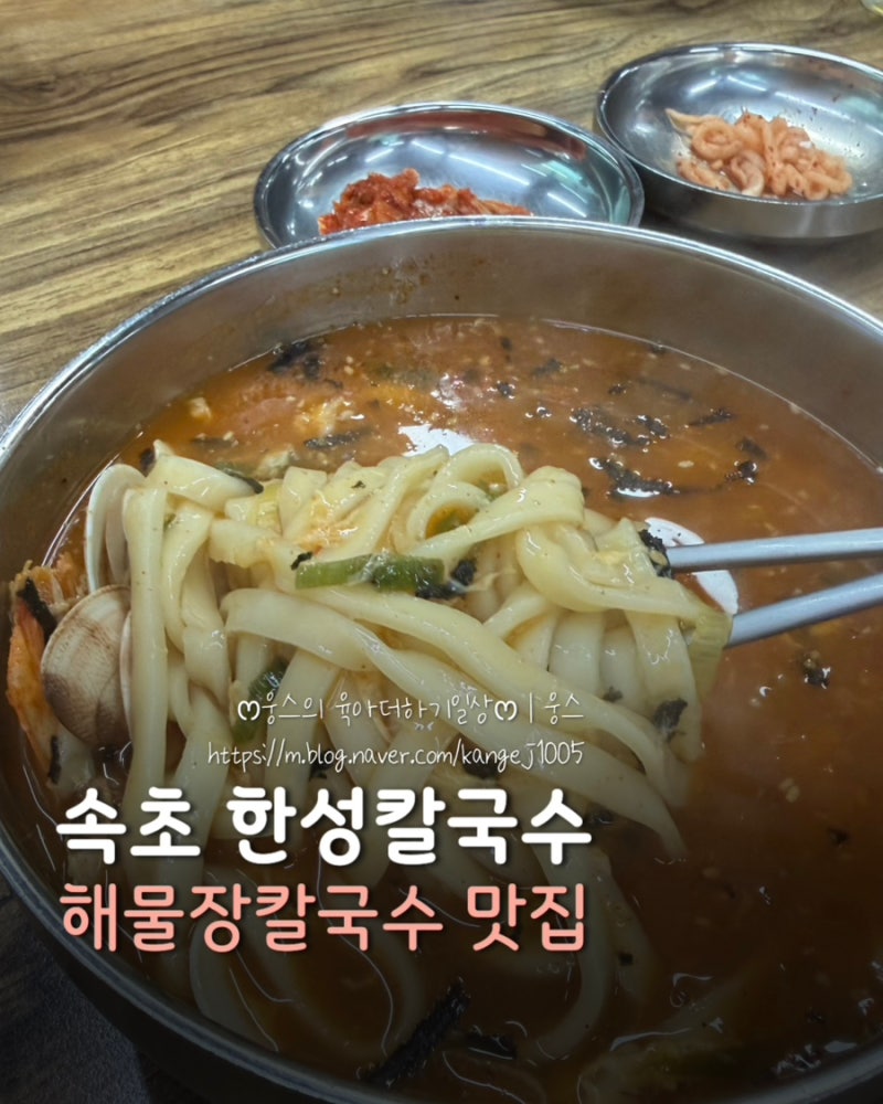 속초 현지인 맛집 ❝한성칼국수❞ 장칼국수 내돈내산