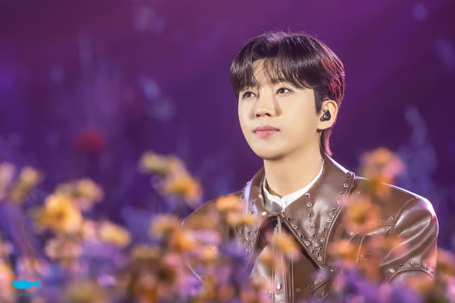 임영웅 트로피 134개, 성과보다 팬카페 글이 화제…어떤 내용일까?