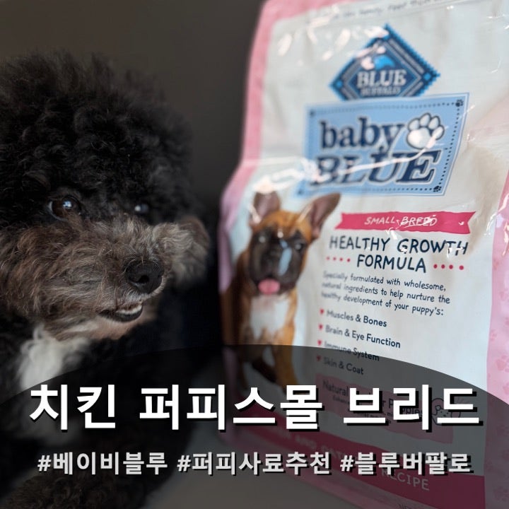 새끼강아지사료 추천 베이비블루 치킨 퍼피 스몰브리드, 강아지 첫 사료 고르는 기준