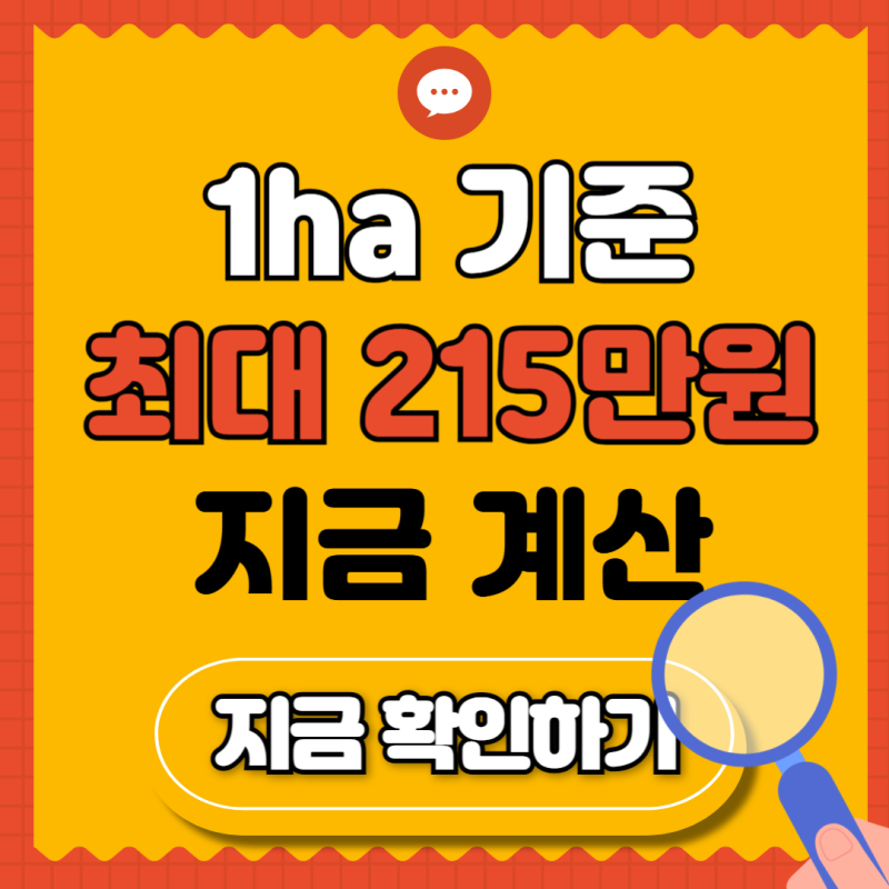 공익직불금 지급금액 계산 총정리! 2026년 면적직불금 1ha 최대 215만원 확인법