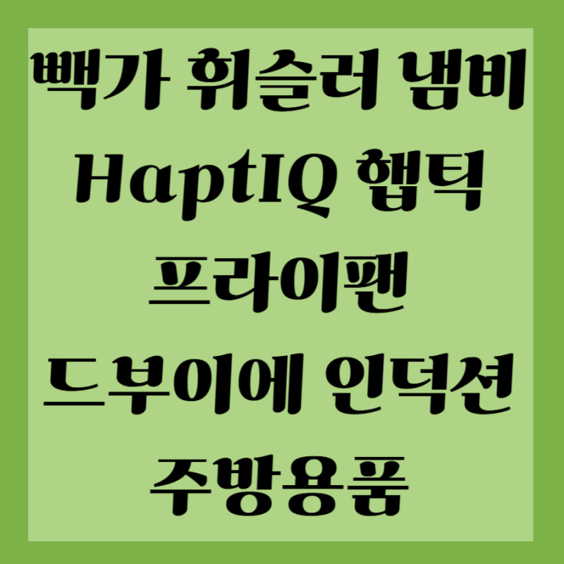 빽가 유튜브 휘슬러 냄비 스칸팬 HaptIQ 햅틱 프라이팬 드부이에 쵸크 논스틱 인덕션 웍 주방....