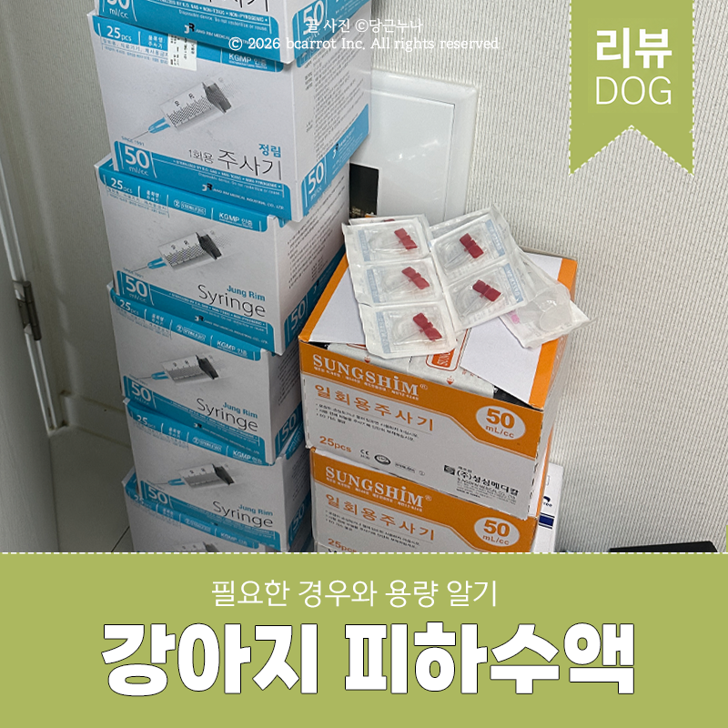 강아지 피하수액 시작 시기 필수 준비물은