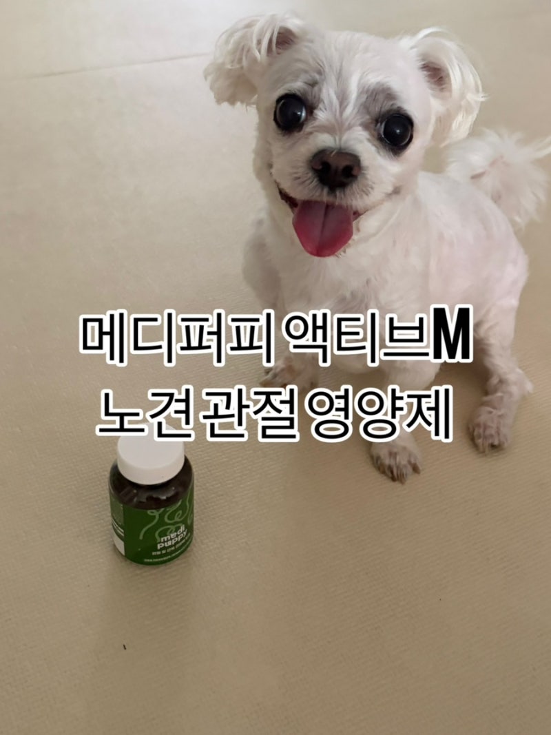 노령견이 된 이후 관절에 점점 힘이빠져 안쓰럽던 우리 아이에게 메디퍼피 엑티브M 관절 영....