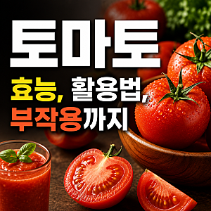 아침 토마토 효능과 주스, 껍질까지 완벽 활용법과 부작용 섭취방법 총정리