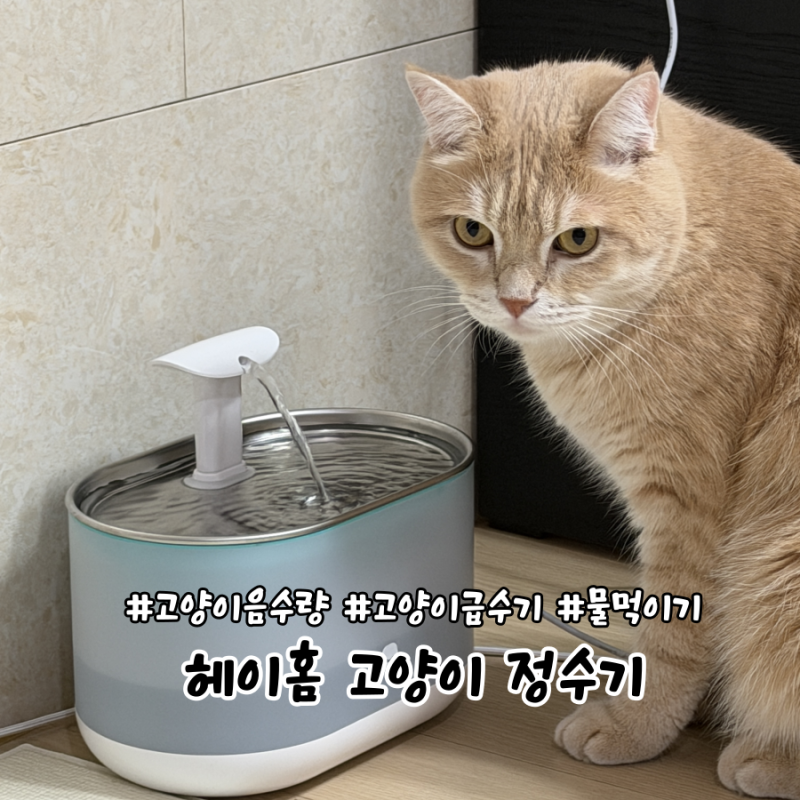 고양이 정수기로 음수량 늘린 짜모찌네 후기