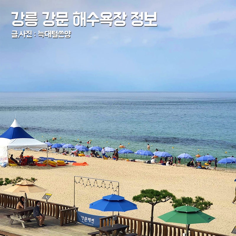 강릉 강문 해변 해수욕장 샤워장 파라솔 개장 수영 시간
