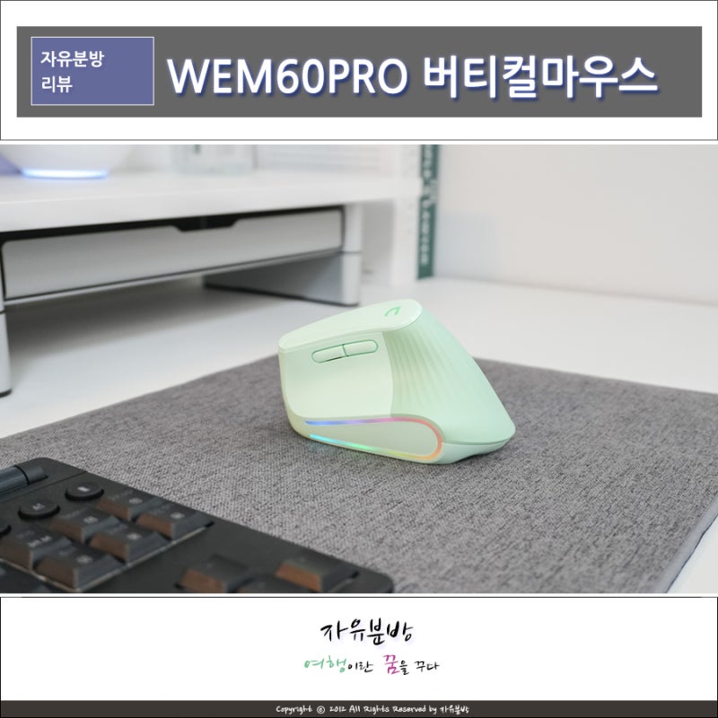 손목편한 앱코 버티컬 마우스 WEM60PRO, 감각적인 그린 컬러