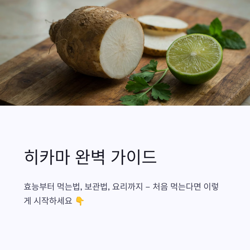 히카마 효능 먹는법 보관 요리, 처음 먹는다면 이렇게