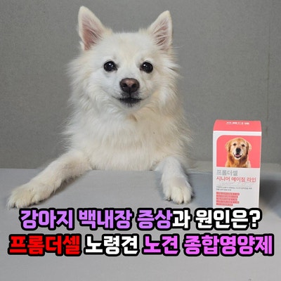강아지 백내장 증상과 원인은? 프롬더셀 강아지 종합영양제 노령견 노견 영양제 6개월 급여 ....
