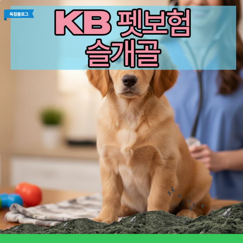 강아지 관절 수술 대비 kb 펫보험 슬개골 특약과 손해 안 보는 선택 기준