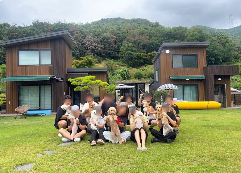 부산 경남 밀양 애견동반 숙소 펜션 몽썸 바베큐 모돈모산
