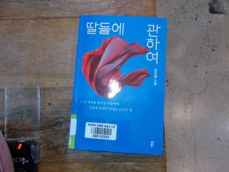 딸들에 관하여 - 김진애 - 다산북스