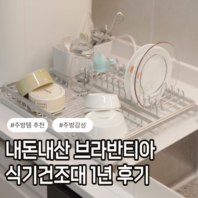 브라반티아 식기건조대 장점&단점 내돈내산 1년 후기
