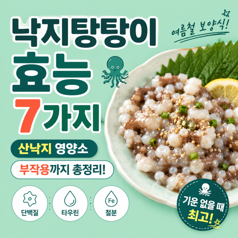 낙지탕탕이 효능 7가지, 산낙지 영양소와 부작용까지 총정리