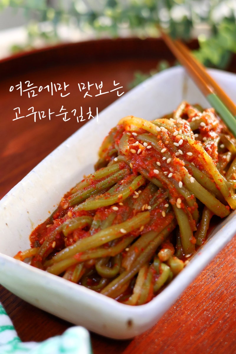 여름에 맛보는 별미 김치 고구마순김치 담그는 법 고구마줄기김치 레시피