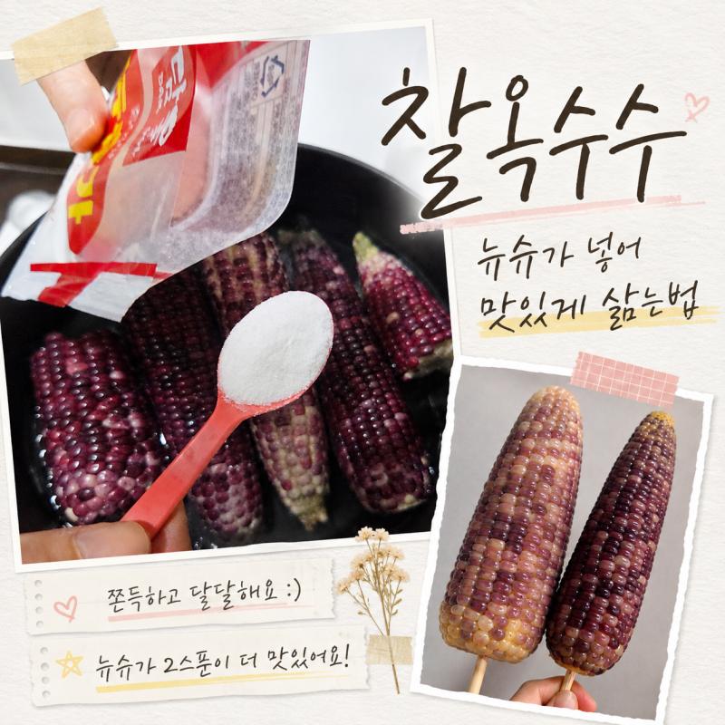 요즘 재철 찰 옥수수 삶는법 뉴슈가 레시피 황금비율 조리 방법 후기
